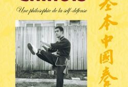 bruce-lee-kung-fu-chinois