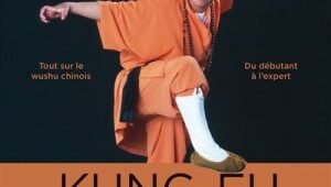 kung-fu-pratique