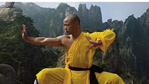the-shaolin-kung-fu-workout