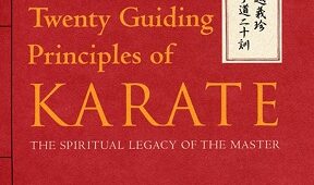 20-principles-karate