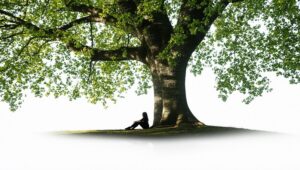 arbre-et-nature