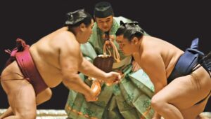 Top 10 des meilleurs livres sur le Sumo Livres sur le sumo