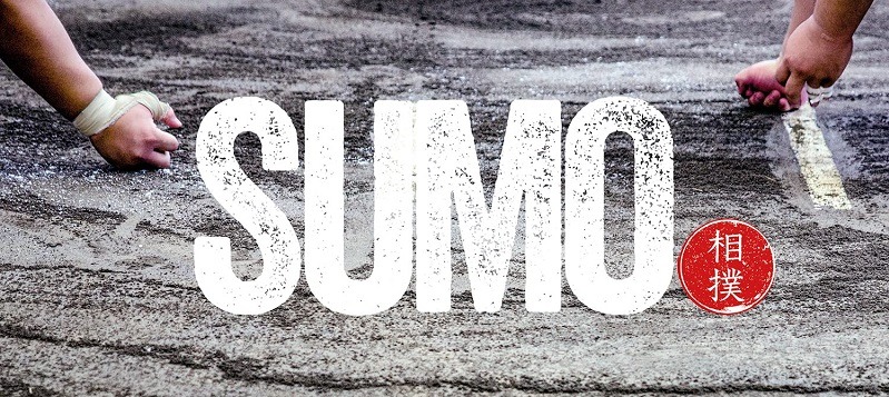 livres sur le sumo photos