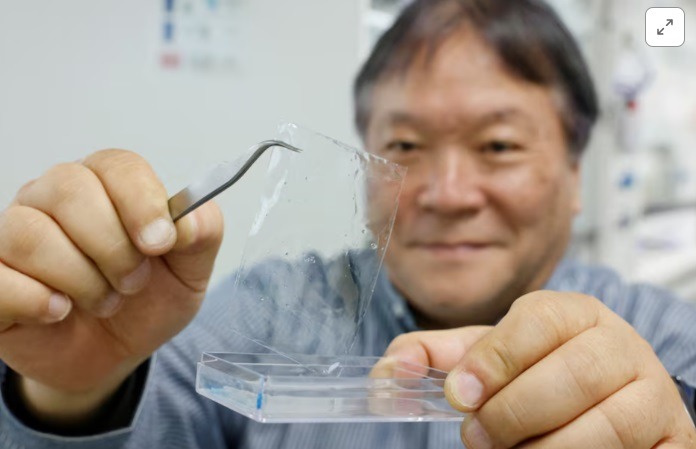 Plastique biodégradable Japon