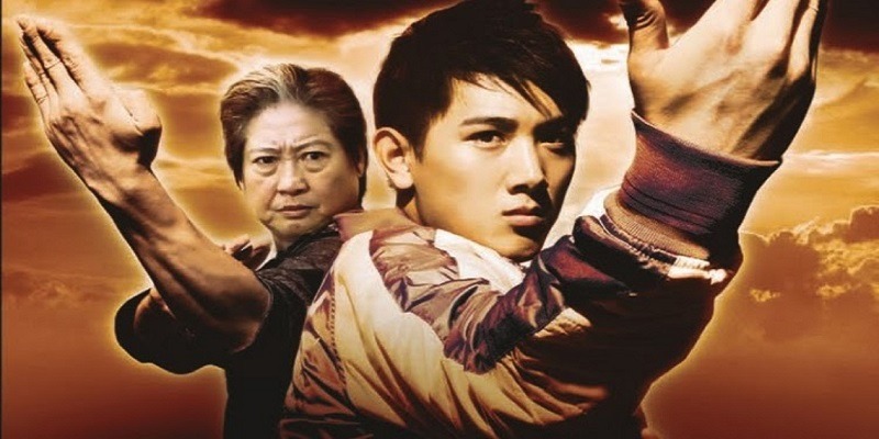 Wushu film 2008
